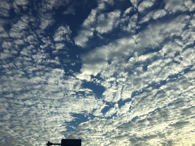 初！cafemaga掲載☆