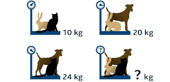 アイシス通信８月号☆クイズ解答
