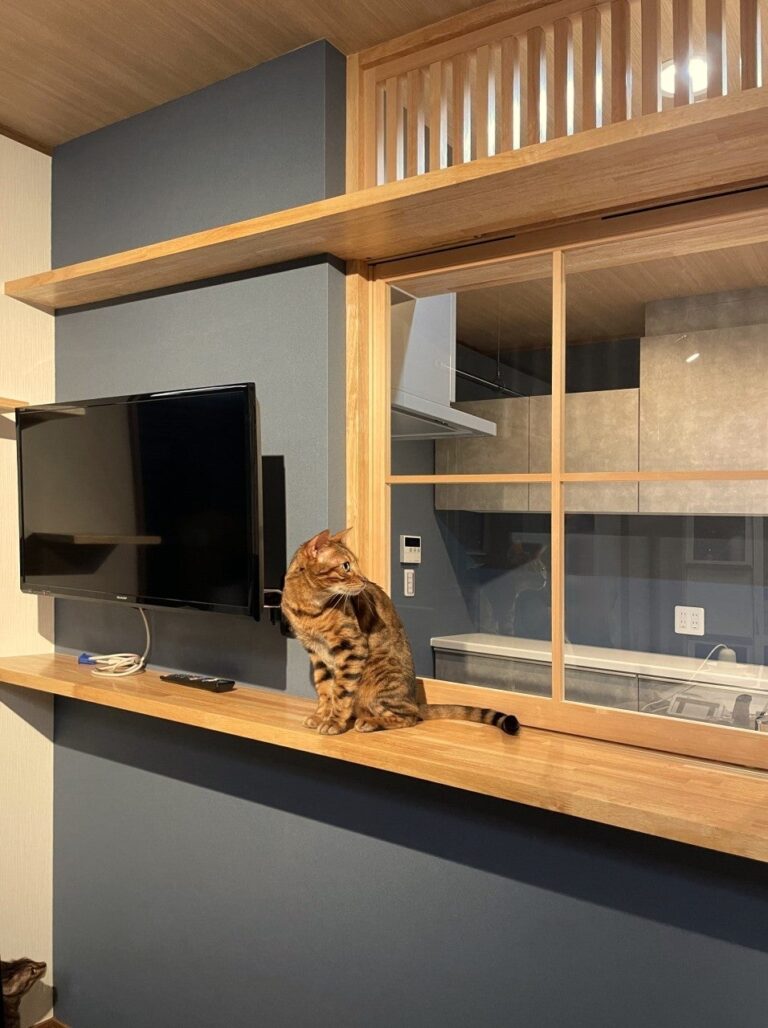 にゃんこを優しく見守ることができるキッチンリフォーム☆